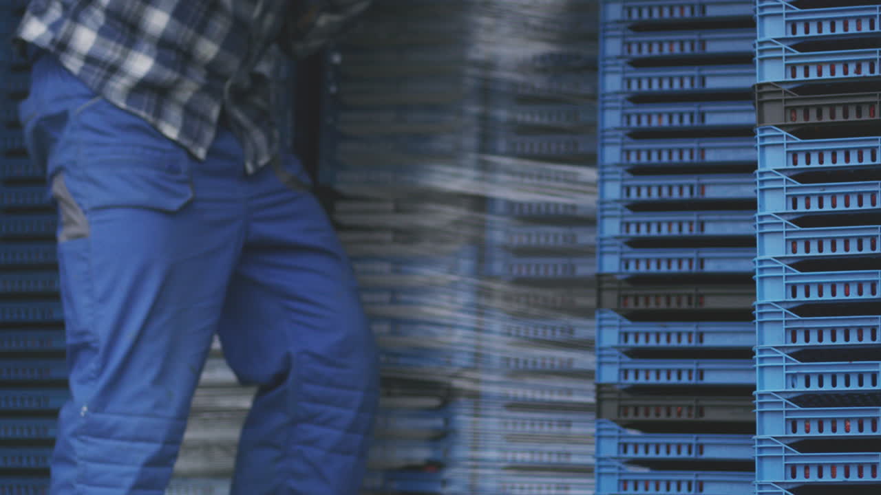 Workers Loading and Unloading Produce Crates in a Truck