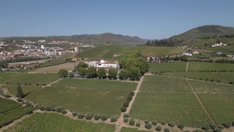 Vista-Aérea-Del-Lujoso-Hotel-Wine-House-En-Lamego,-En-El-Corazón-De-La-Región-Del-Duero,-Quinta-Da-Pacheca-Está-Rodeada-De-Extensos-Terrenos-Privados-Con-Viñedos.