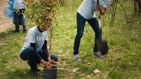 african american ecologic activists planting seedlings in a forest environment