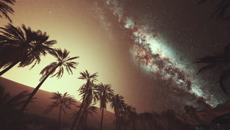 Night-shot-with-palm-trees-and-milky-way-in-background