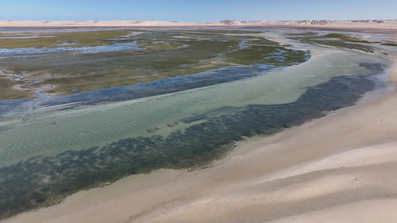 Drone luftfoto af kystnære vådområder og en ørkenkystlinje nær Dakhla, der viser lavt tidevand, salttolerant vegetation og den slående overgang mellem Marokkos Atlanterhavskyst