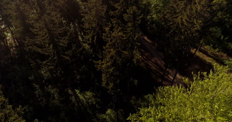 volando sobre bosque bosque desde arriba 21