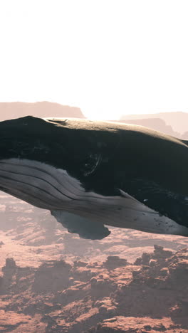 a humpback whale floating in a desert canyon