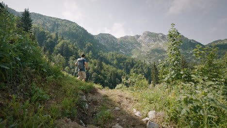 a hiker in blue shirt walking with hiking poles and a grey backpack towards the spruce forest on a partly cloudy day with some sun rays