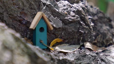 Zauberhaftes-Kleines-Miniaturhaus-Im-Wald,-Umgeben-Von-Ameisen-Auf-Nahrungssuche-Zwischen-Bäumen-Und-Blättern