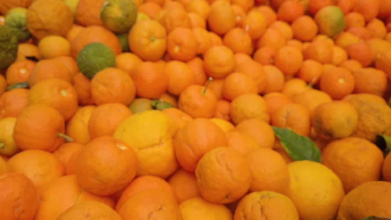 primer plano de naranjas amargas con inclinación hacia arriba revelan una enorme pila de fruta, enfoque en rack