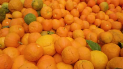 Closeup-of-Bitter-Oranges-with-Tilt-Up-Reveal-of-Huge-Pile-of-Fruit,-Rack-Focus