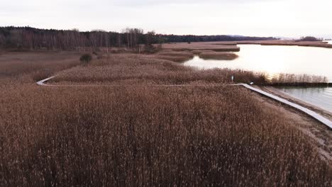 un campo cerca de un lago