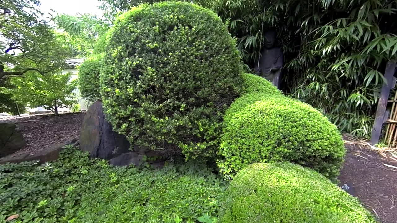 toma de steadicam moviéndose a través del jardín japonés hasta el primer plano de la estatua de jizo