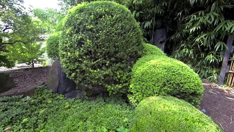 Toma-De-Steadicam-Moviéndose-A-Través-Del-Jardín-Japonés-Hasta-El-Primer-Plano-De-La-Estatua-De-Jizo