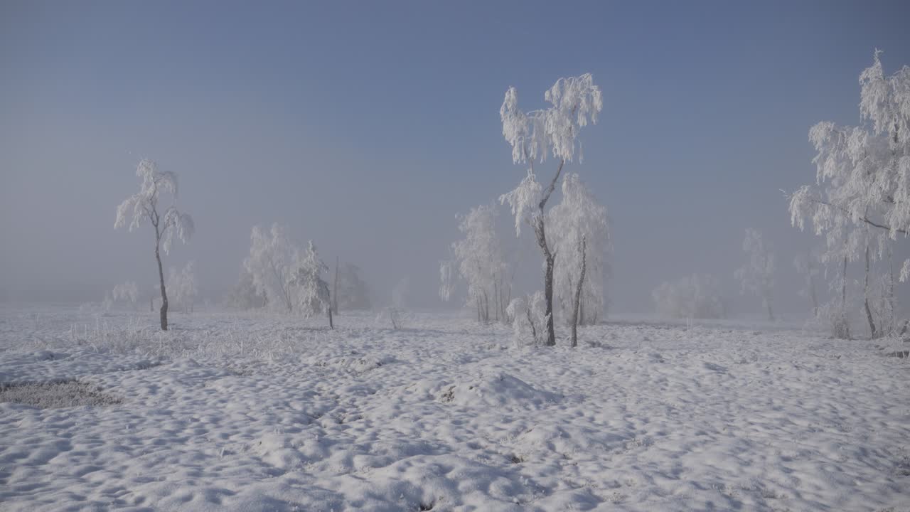 Beautiful winter landscape. Everything is white because of the snow, even the trees. There is fog in the background and the sky is blue. Everything is frozen. Typical winter wonderland on Lake