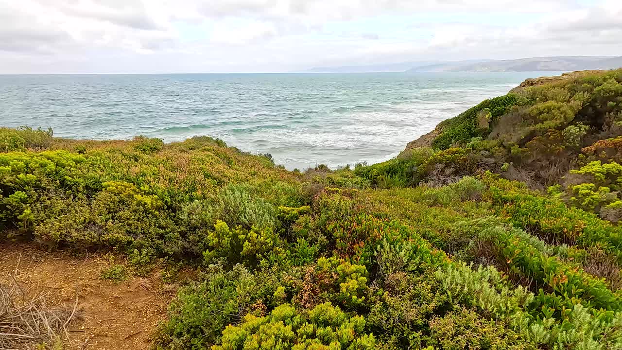 Lush coastal vegetation with ocean waves in the background under soft daylight at Aireys Inlet, Victoria