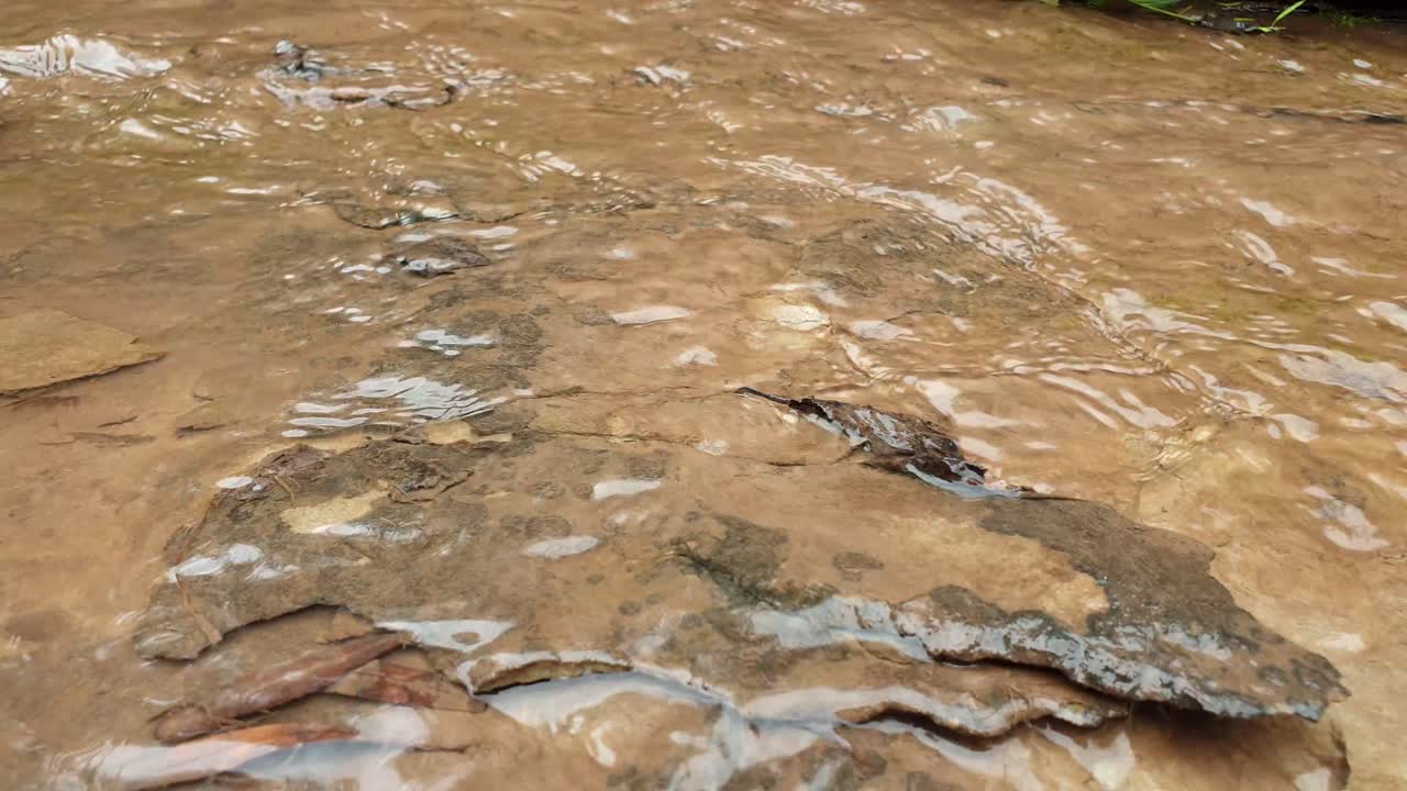 arroyo de agua de manantial de montaña corriendo por enormes losas de piedra arenisca de roca con musgo verde, algas y plantas verdes - agua potable cristalina, meditación tranquila y pacífica naturaleza al aire libre