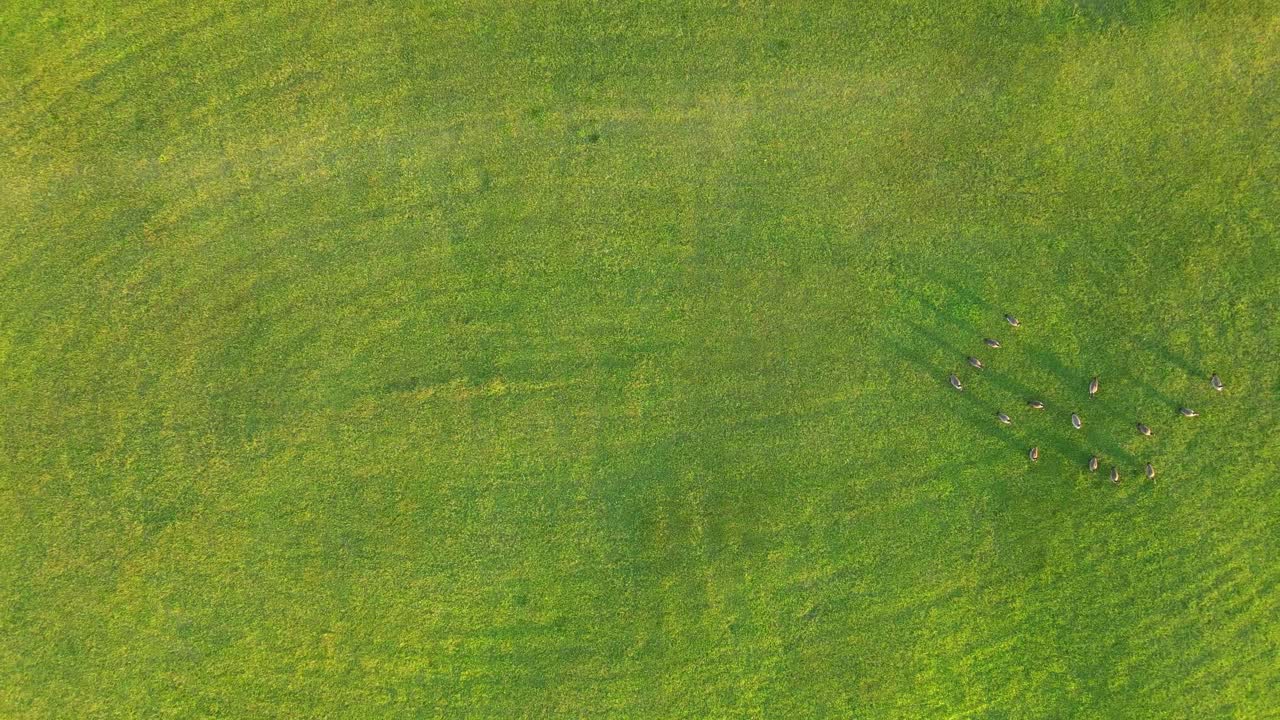 campo verde con camino circular como arena de teatro del centro de eventos wilma rudolph