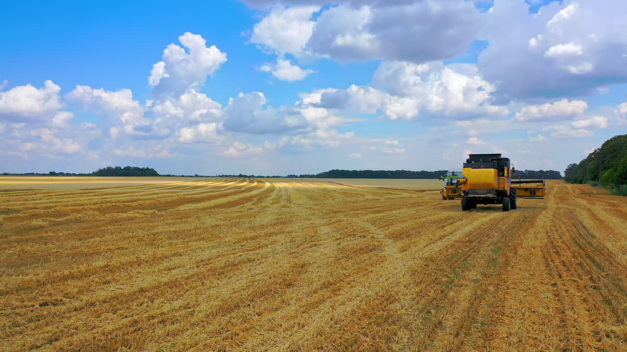 Harvester working on wheat field. Modern combine harvester collects ripe wheat