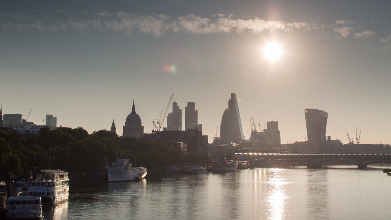 작은 오이 아침 4k 05