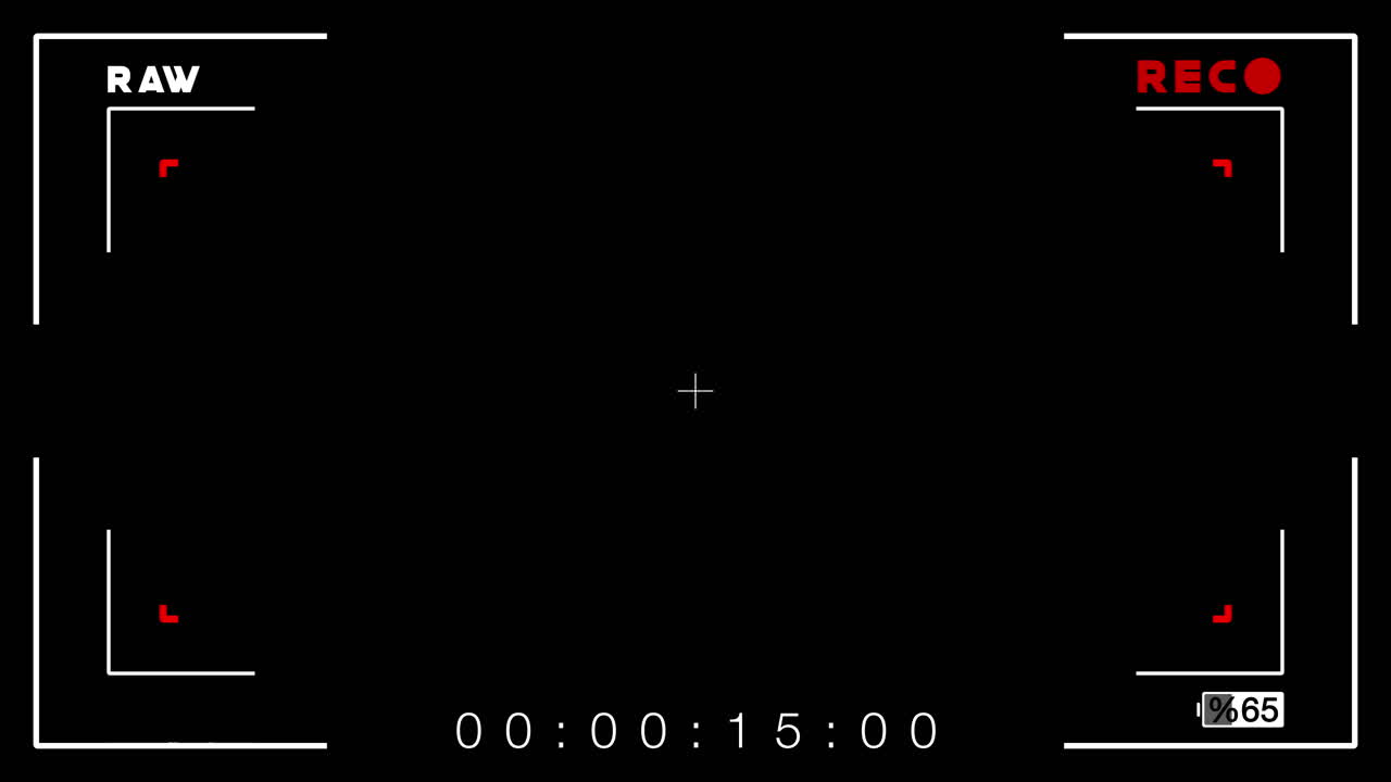 Digital Camera Viewfinder Interface with Recording Status Overlay