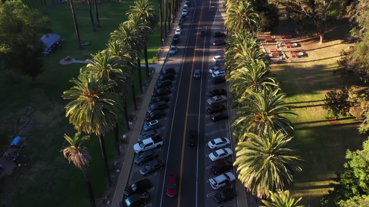 drone disparó panorámico mientras se inclinaba hacia arriba de las palmeras durante la hora dorada de la puesta de sol en los ángeles, parque de california que revela el área de picnic, la acera, la conducción de vehículos y el estacionamiento