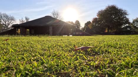 sunrise illuminating grass at melbourne zoo