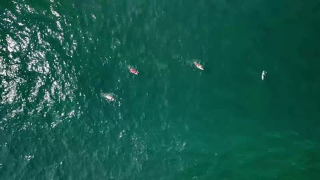 filmando a surfistas remando en el océano pacífico