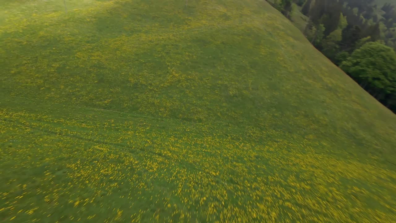 Green hill in Switzerland with a field of yellow flowers, aerial FPV view
