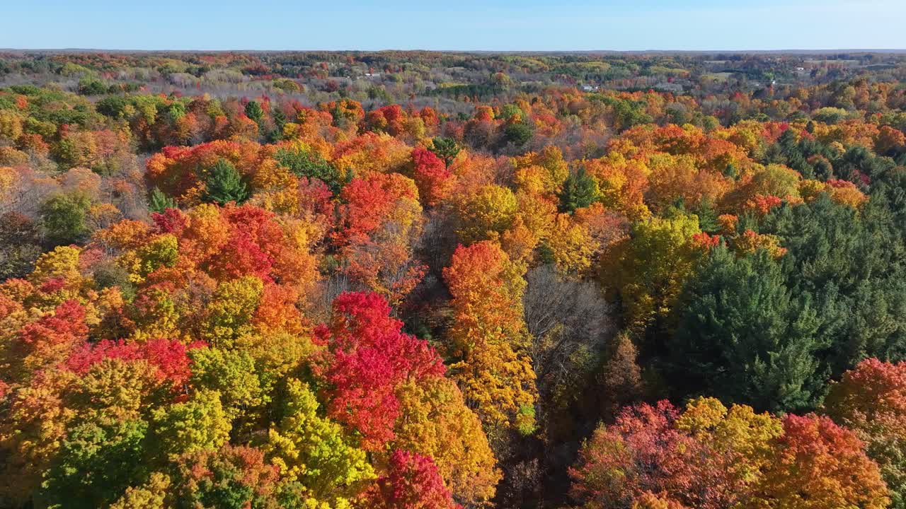 Beautiful Michigan fall colors captured from an aerial view moving forward panning slowly.