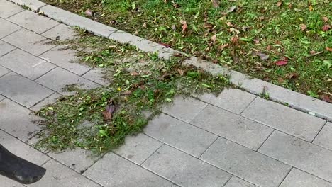 close-up shot of air blower to clean the leaves of the trees that fall on the sidewalks