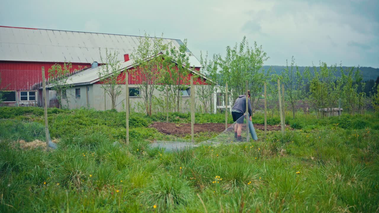 Man Putting Metal Wire Mesh, Building Fence In The Garden