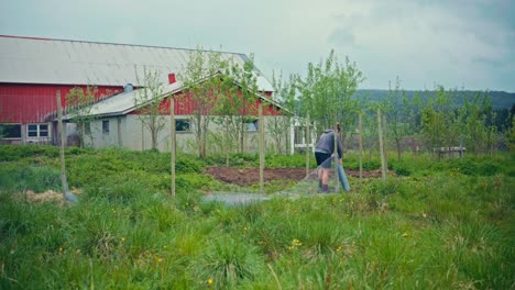 man putting metal wire mesh, building fence in the garden