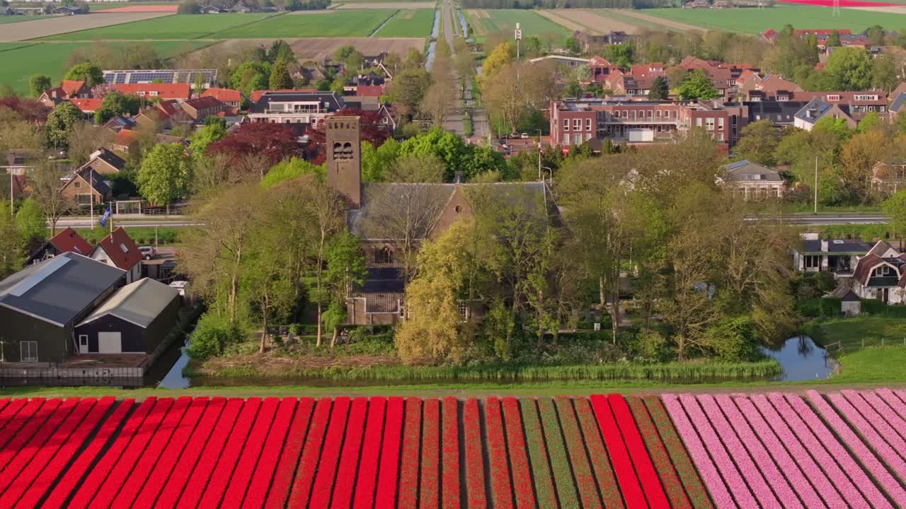 Vista aerea di campi di fiori primaverili e del campanile del villaggio a Stompetoren