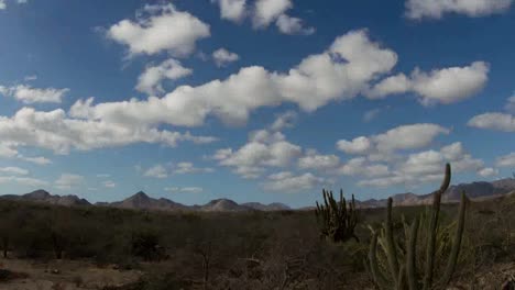 baja desierto 00