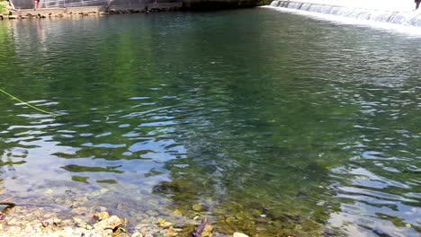 fishing line in the water at bennett spring state park in missouri.