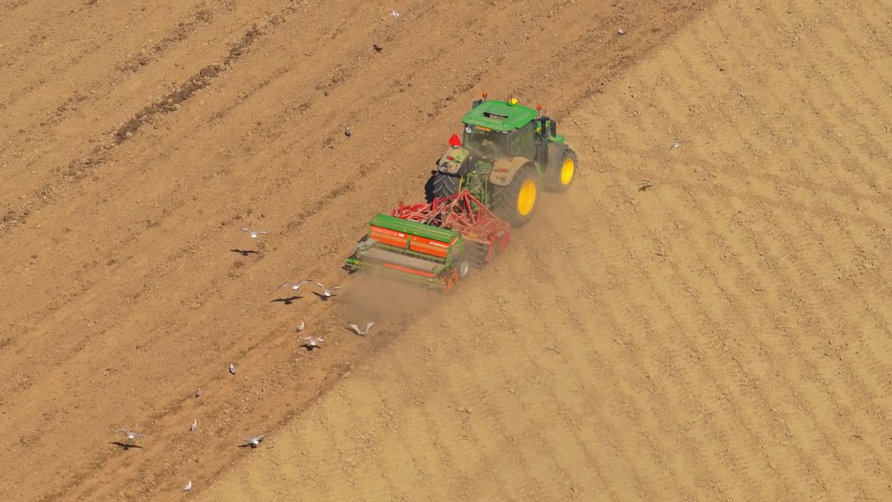 Traktor som pløyer åker med fugler som følger etter