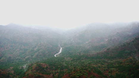 top of mountain shiratani unsuikyo, yakushima, during rainy day