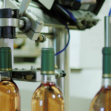 elaboración y embotellado de vino en una bodega 4