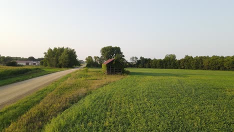 Old-shack-in-the-middle-of-a-grassland,-field,-farm-in-Minnesota-during-a-sunny-summer-afternoon