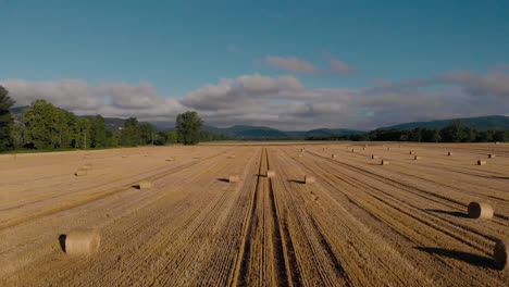 Aerial-flying-above-stacked-wheat-rolls,-casting-shadows-on-a-sunny-morning