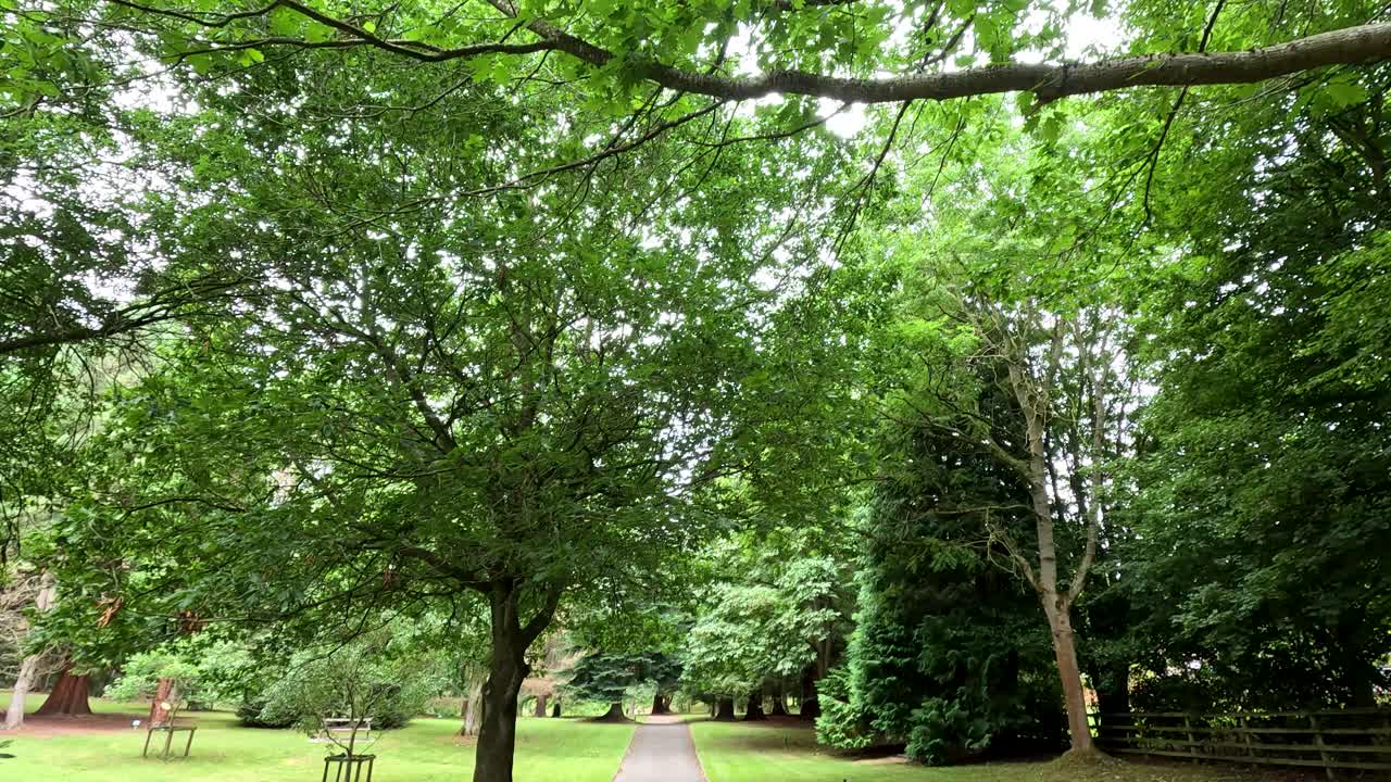A steady camera moves forward through an open wooden gate onto a tree-lined path in a vibrant, green botanical garden under soft daylight