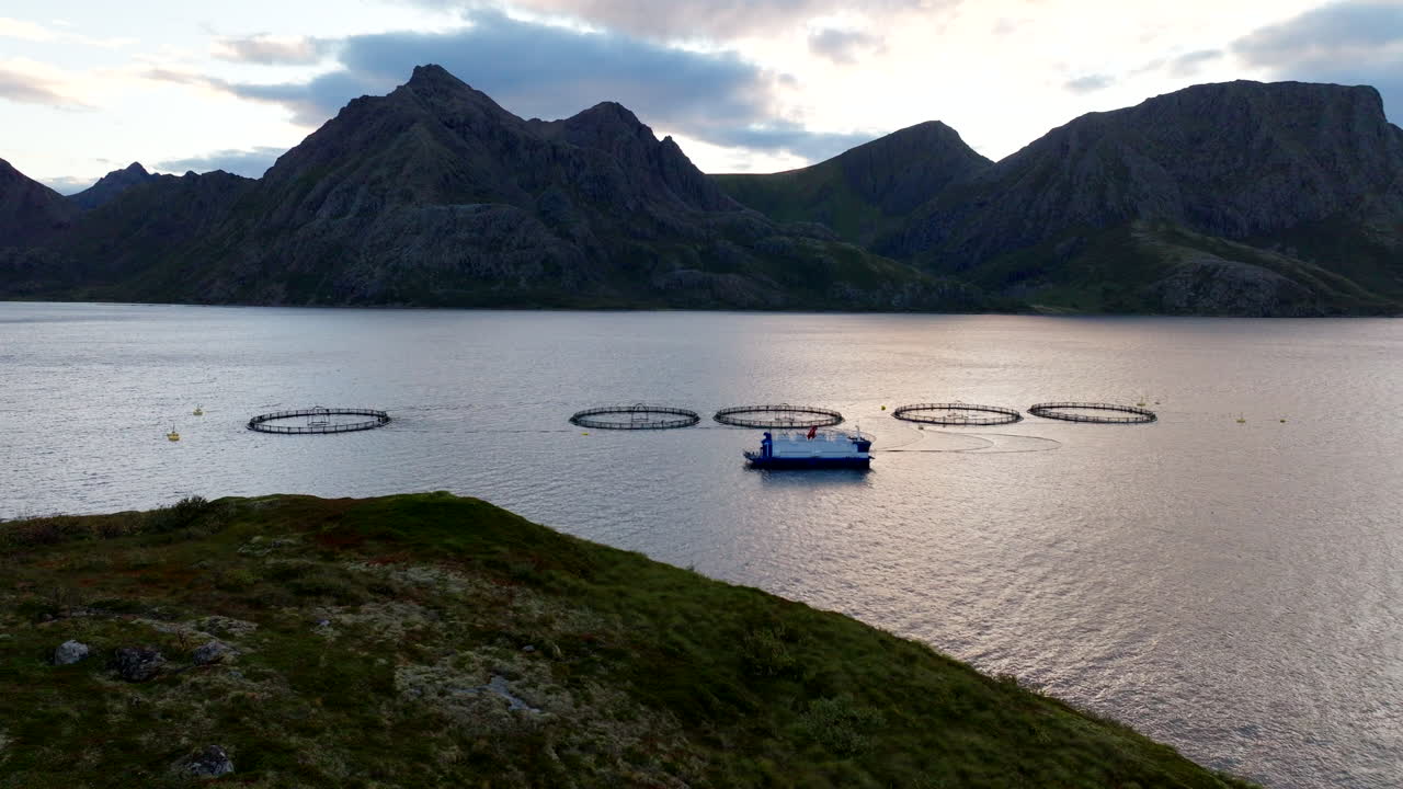 granja de salmón con jaulas marinas circulares, archipiélago de vesteralen en noruega, fiordo noruego. dron aéreo