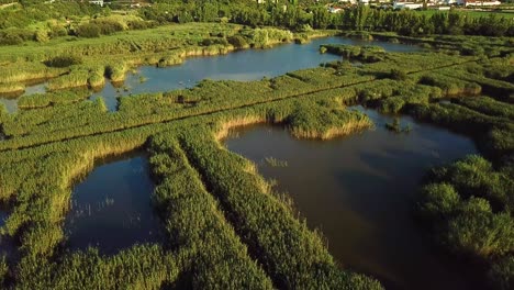 Un-Pantano-Pantanoso-Con-Un-Castillo-Al-Fondo