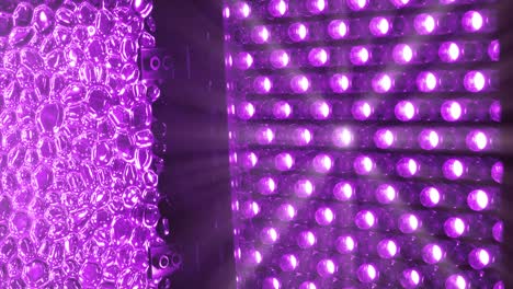 purple led light panel