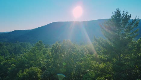 aerial drone footage of a sweeping pine forest vista in the appalachian mountains. this is in new york's hudson valley during summer in the catskill mountain sub-range