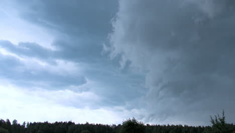 nubes tormentosas que se agrupan sobre los árboles