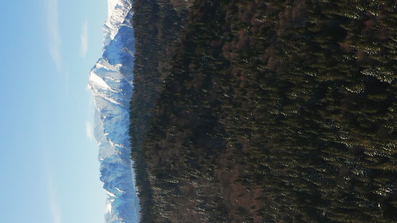 Panoramica aerea in allontanamento sopra una foresta di conifere, con i Monti Bucegi in lontananza.