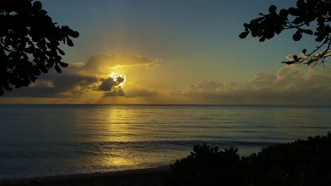 bellamente enmarcado por ramas de árboles recortadas, este es un impresionante amanecer en el océano en una playa tropical que captura los rayos dorados del sol y los couds iluminados por el borde