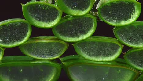 close up of transparent extract gel flows through the aloe vera sliced on black background. natural medical plant for organic cosmetics, alternative medicine