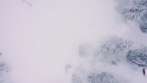 antenas de drones de arriba hacia abajo del bosque de pinos nevados, taiga tundra levi, vecindario de finlandia