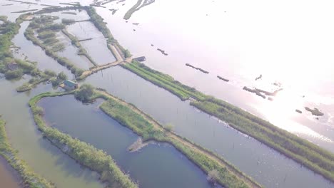 Drone-flight-over-swamps-and-flooded-fields