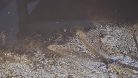 muddy water on the ground after a heavy rain storm, tropical rain season