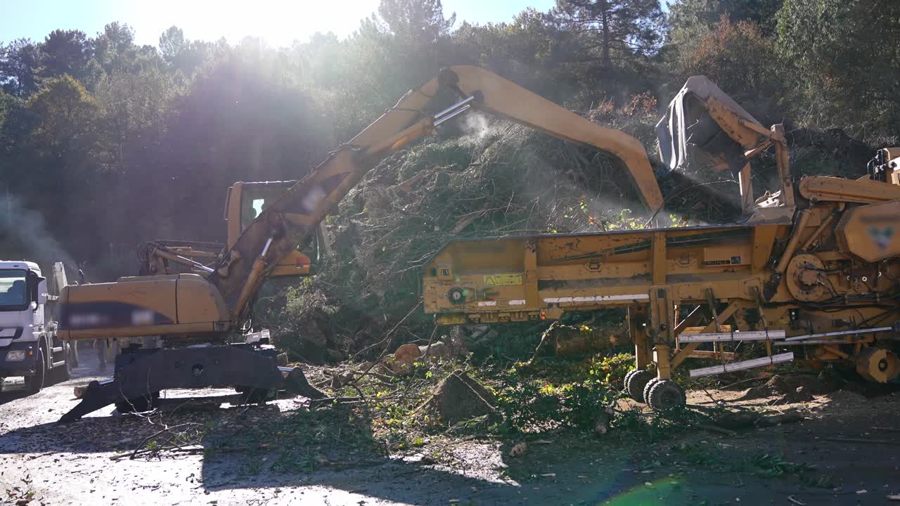 Cippatrice ed escavatore che rimuovono alberi